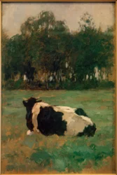 Vaca deitada